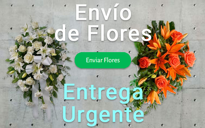 Envío de flores urgente a Tanatorio Madrid